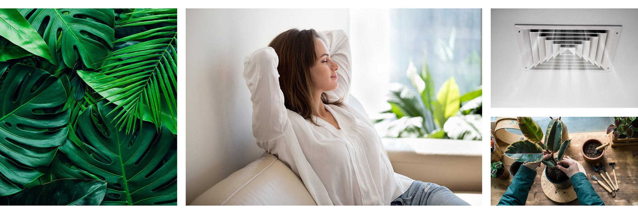 Left: Green plant leaves overlapping each other. Center: Woman sitting on a couch enjoying her indoor air. Right top: An AC vent. Right bottom: Small plant in a pot.